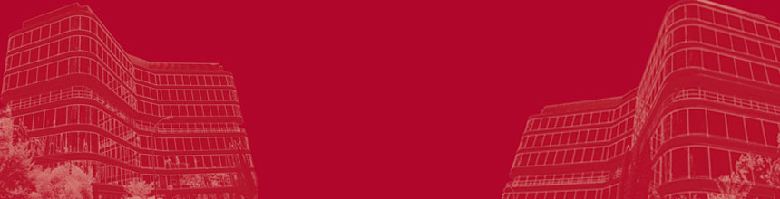 Líneas estratégicas de la CNMV 2019-2020 y Plan de Actividades 2019